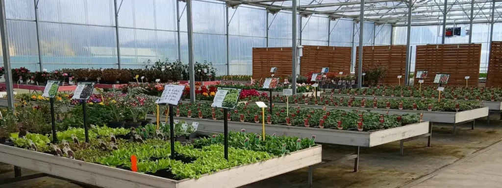 Les Serres du Ballon