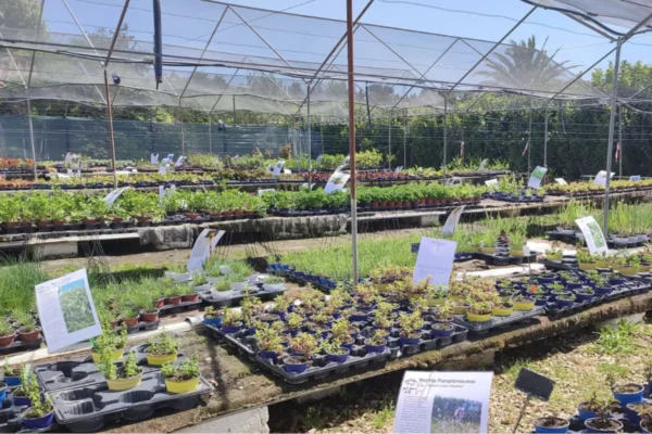 Pépinières Les arôme du grès