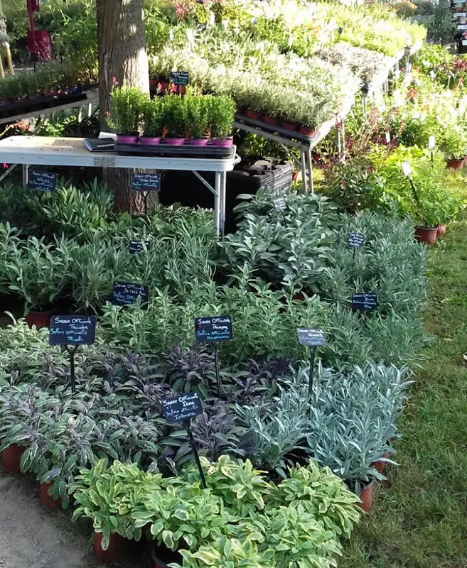 Aromatiques Les Arômes du Grès