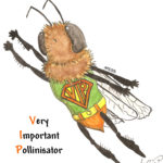 Very Important Pollinisator