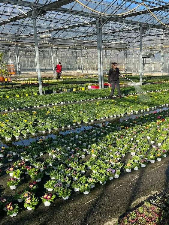 La production florales de la Jardinerie Au Jardin des Plantes