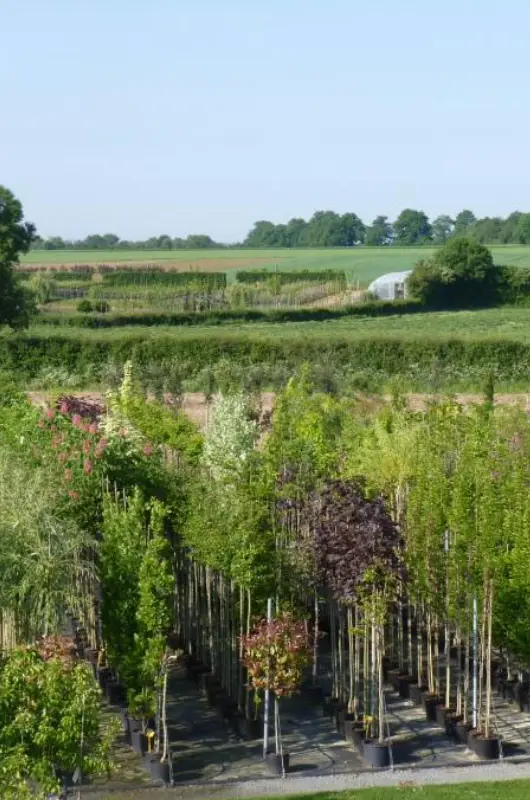 Productions des Pépinères Laurentaises
