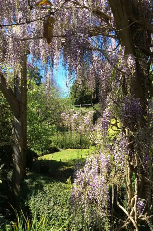 Pépinière Botanique de Frédérique et Jean Thoby