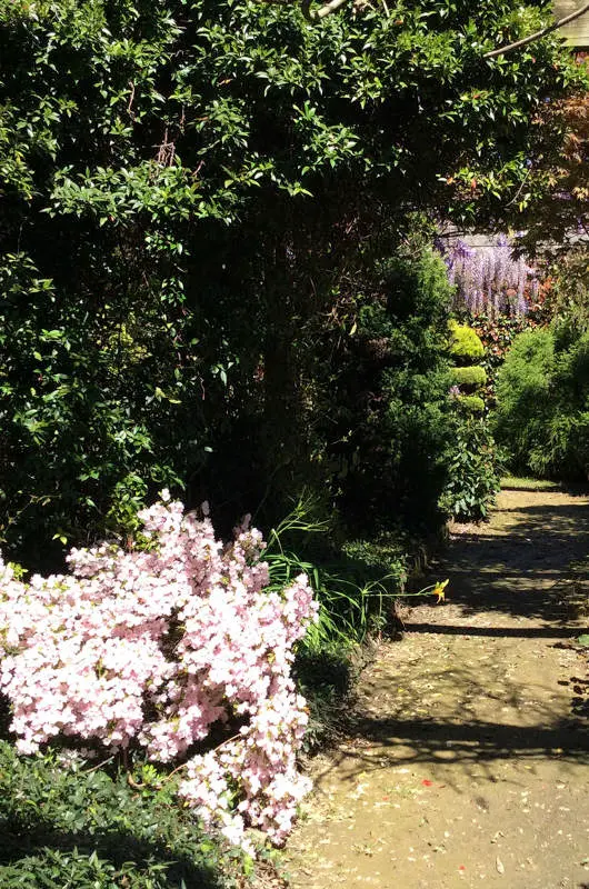 Pépinière Botanique de Frédérique et Jean Thoby