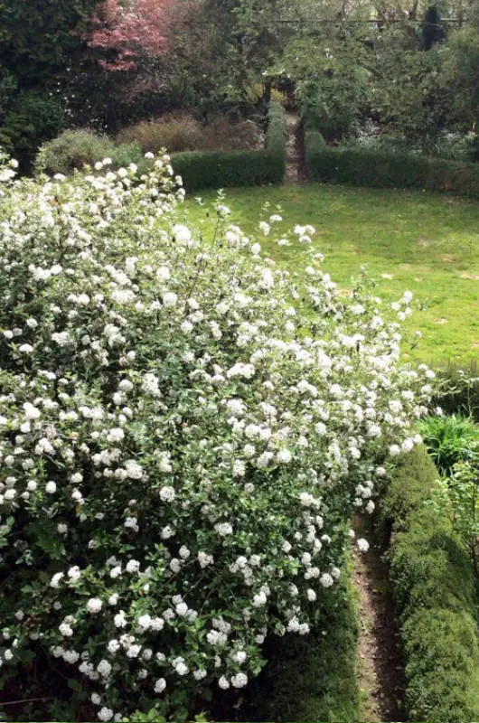 Pépinère Botanique