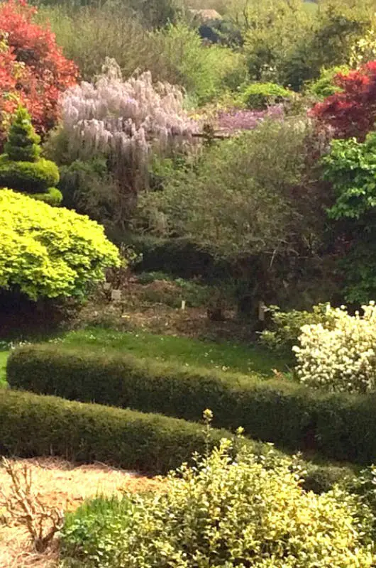 Pépinière Botanique de Frédérique et Jean Thoby