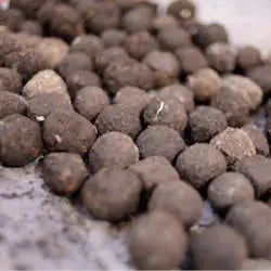Bombes à graines