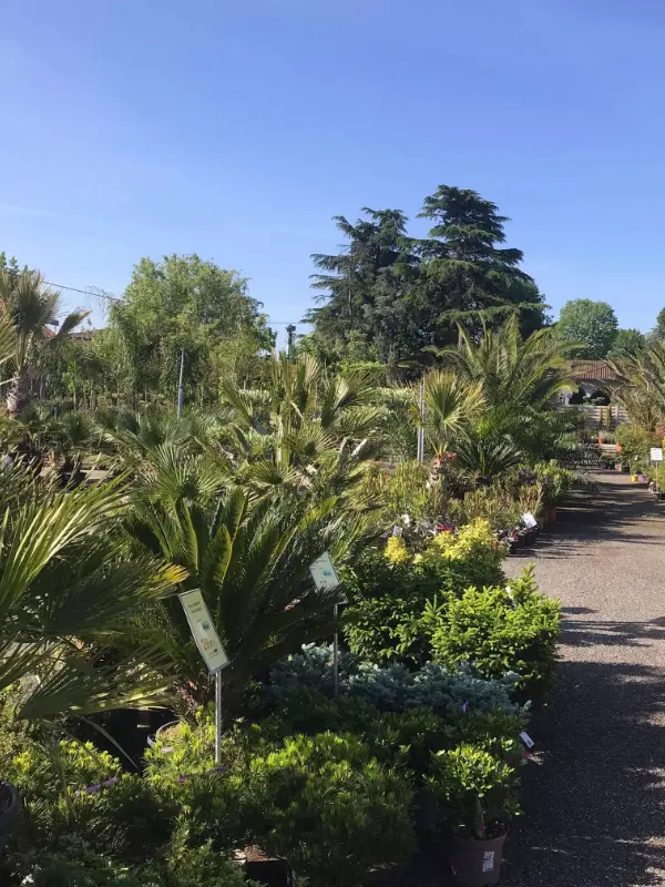 Jardinerie Les espaces verts du Languedoc