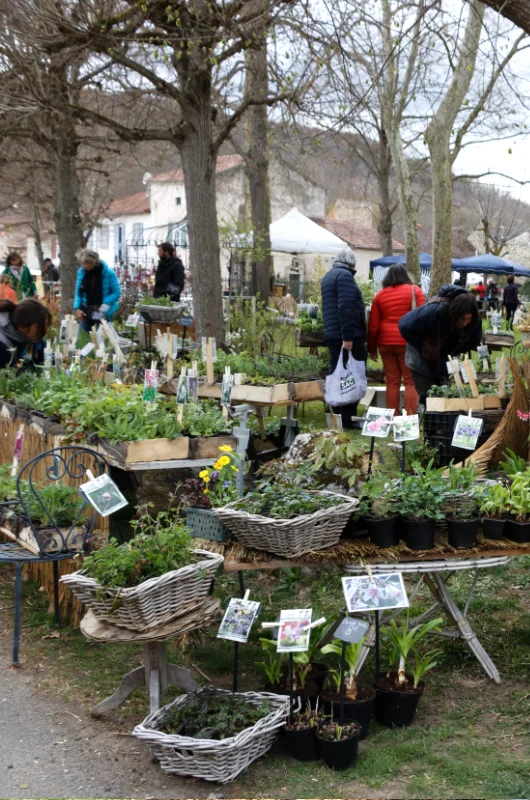 Fête des arbres et rosiers de Jenzat