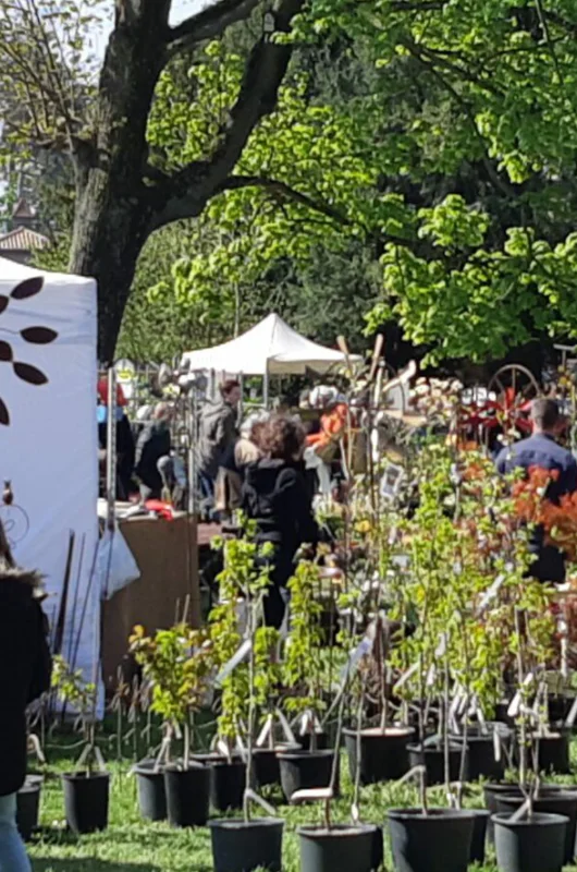 Foire aux Plantes Rares et Art des Jardins