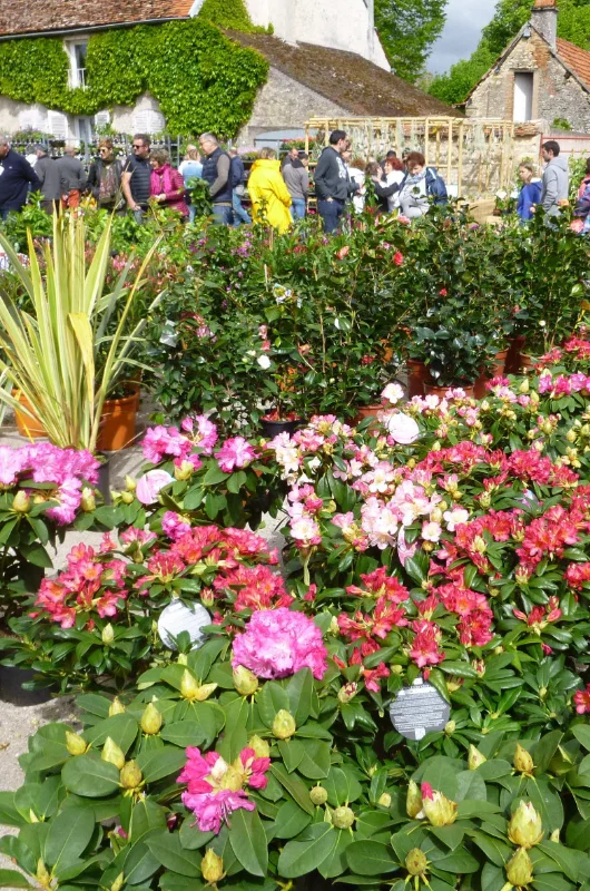 Foire aux plantes rares de Bezouotte