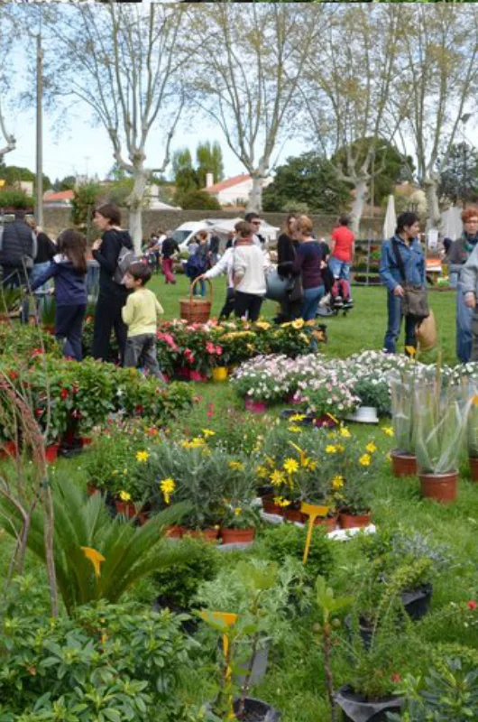 Plantes rares et jardin naturel
