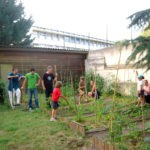 Co-jardinage en plein coeur de Toulouse