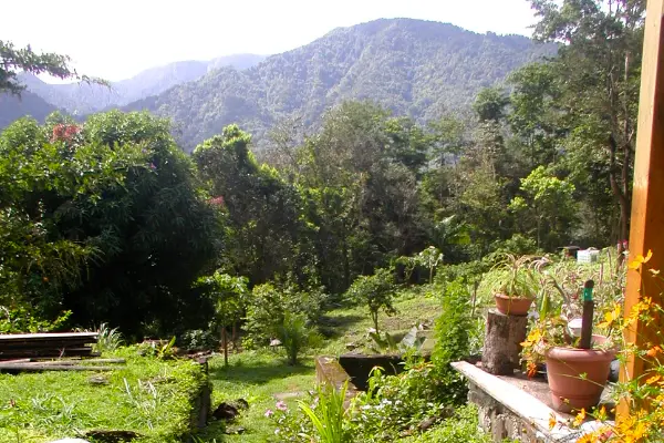 Proposition de cojardinage en Guadeloupe