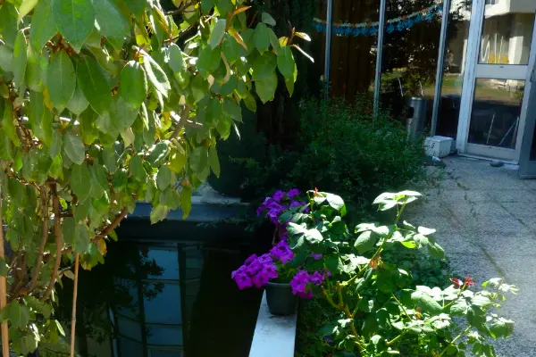 Cojardinage dans une maison de retraite