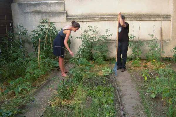 Cojardinage en plein coeur de Toulouse