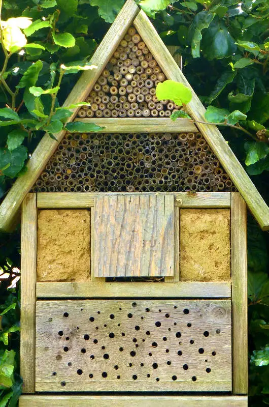 Hôtel à insectes