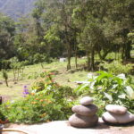 Prêt de jardin en Guadeloupe