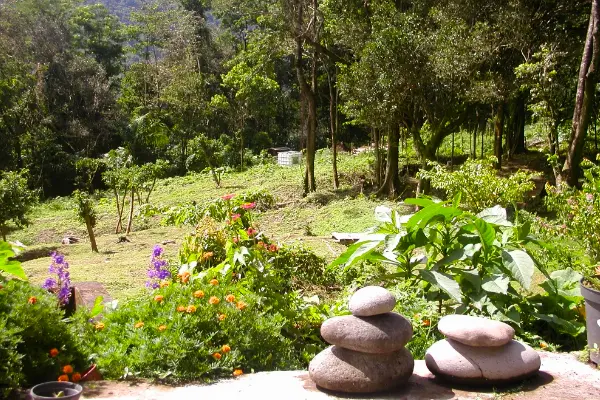 Le jardin tropicale de Natacha