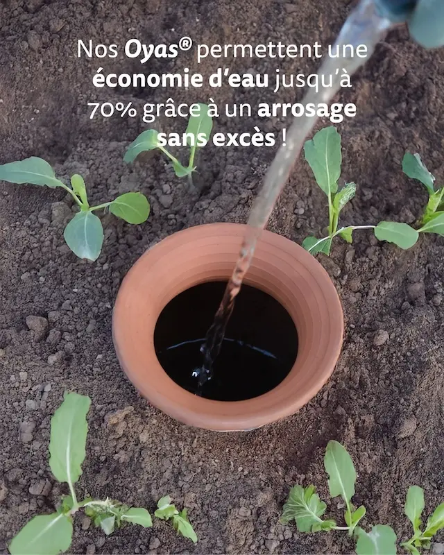 Oyas enterr&eacute;e