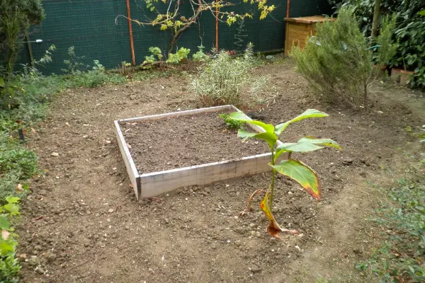 Le cojardinage d'Andréa et Luis