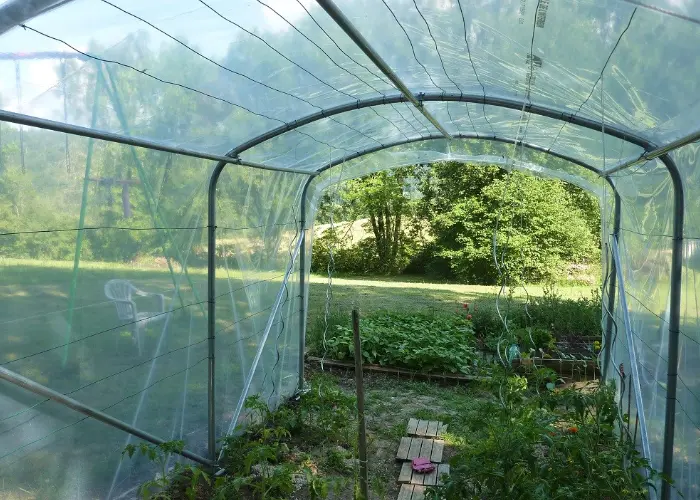 Abri &agrave; tomates Serre en Direct