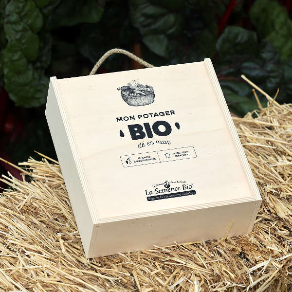 Coffret de semences 100 % bio pour potager - Boutique du jardin