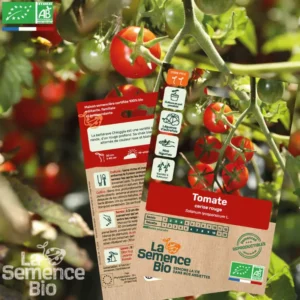 Graines de tomates La Semence Bio
