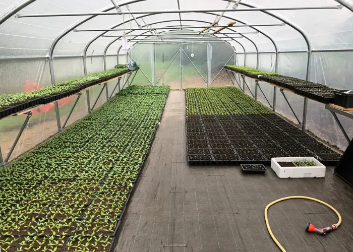 Serre professionnelle Dolmen Pro 500 de Serre en Direct