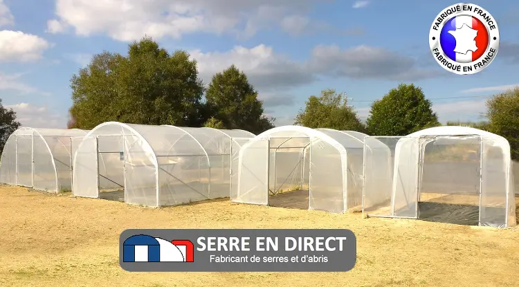 Serres de Serre en Direct