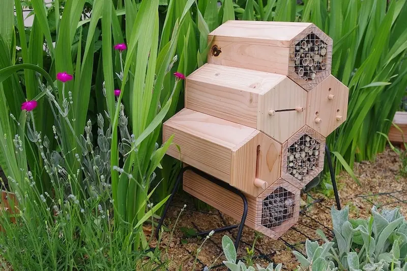 Les g&icirc;tes &agrave; insectes Symbiosph&egrave;re