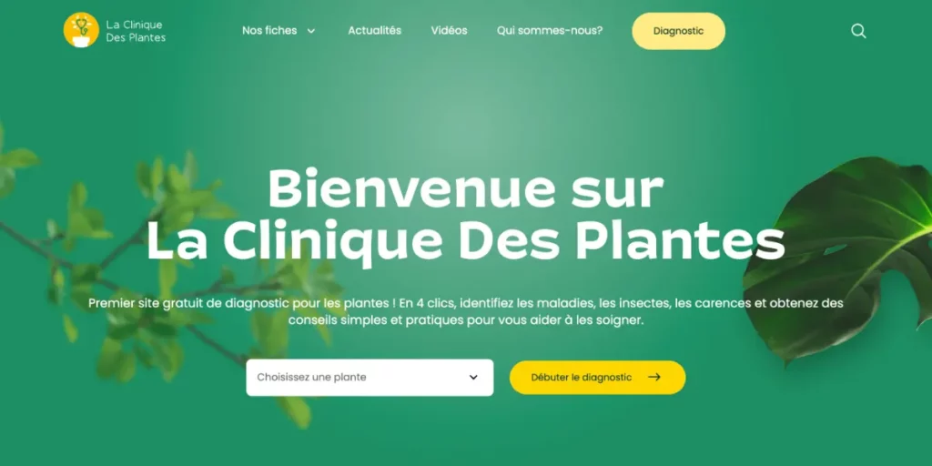 Site Internet de la Clinique des Plantes