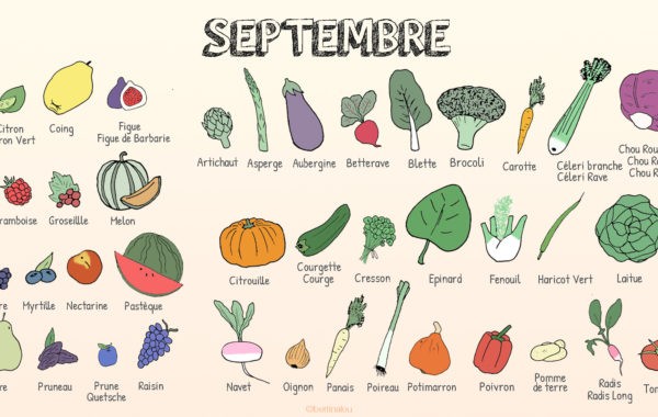 Les fruits et légumes de septembre