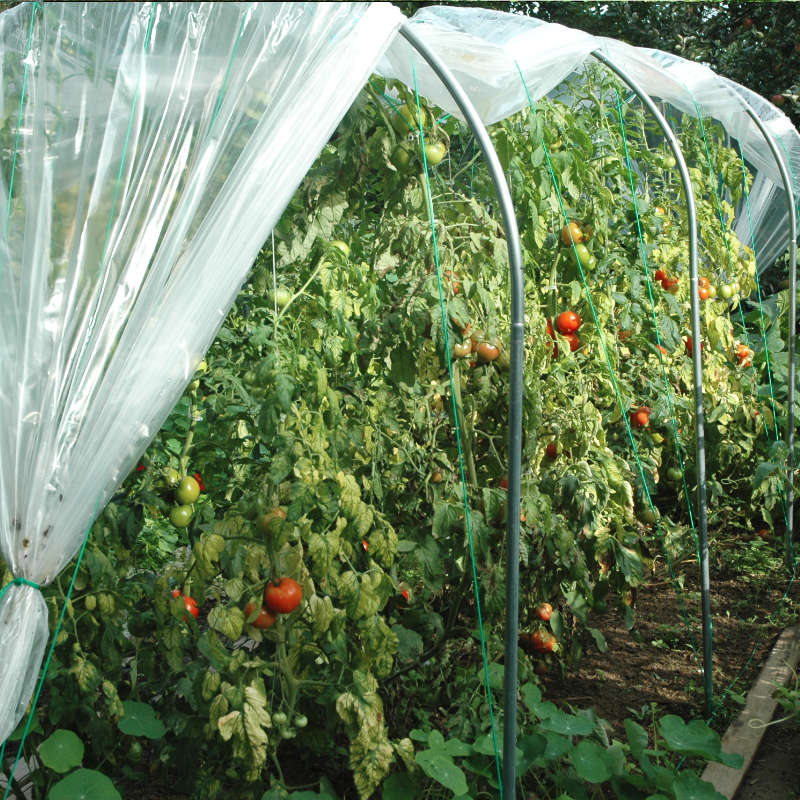 Nature Serre Tunnel 200x100x215 cm Tomates Abri de Plantes Jardin Extérieur 