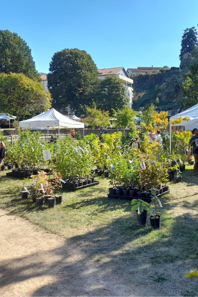 Marché aux plantes rares Châtillon-sur-Chalaronne