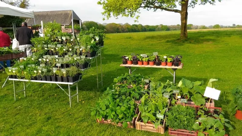 Les Bio Plants du Potager