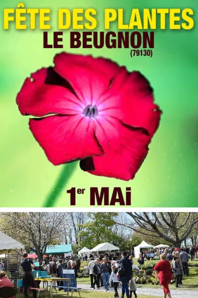 Fête des Plantes le Beugnon