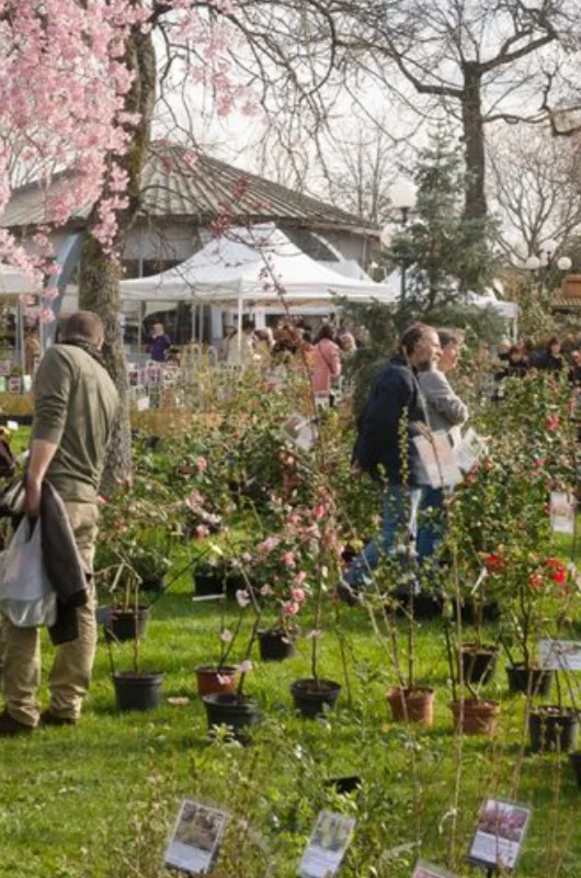 Foire aux Plantes rares de Colomiers