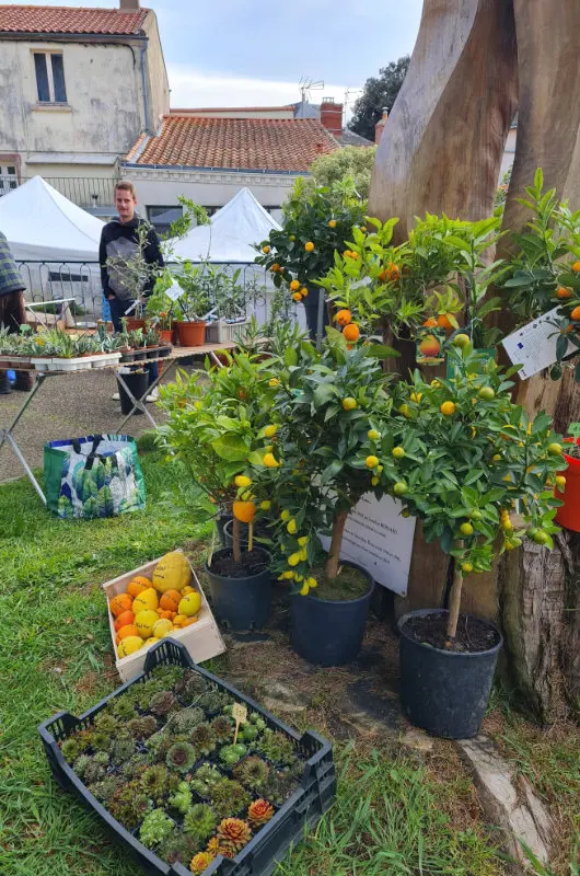 Nature et Jardins Le Cellier