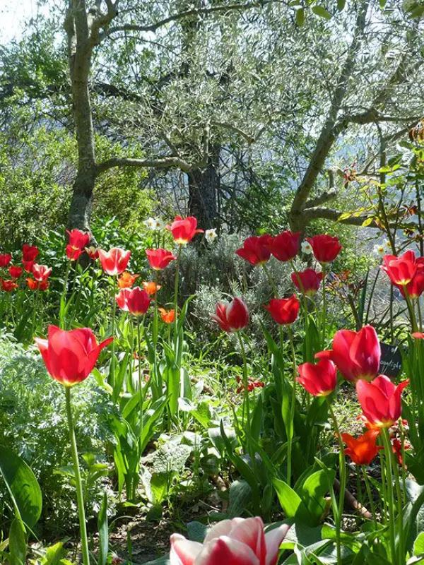 Le parc floral des Jardins de l'Abbaye de Valsaintes