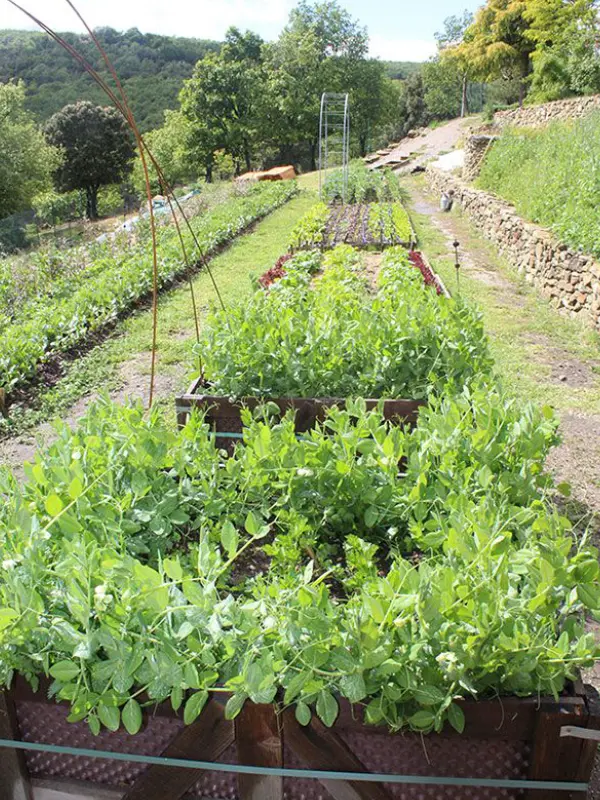 Potager agro&eacute;cologique des Jardins de l'Abbaye de Valsaintes