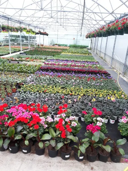 Production EURL des 4 saisons