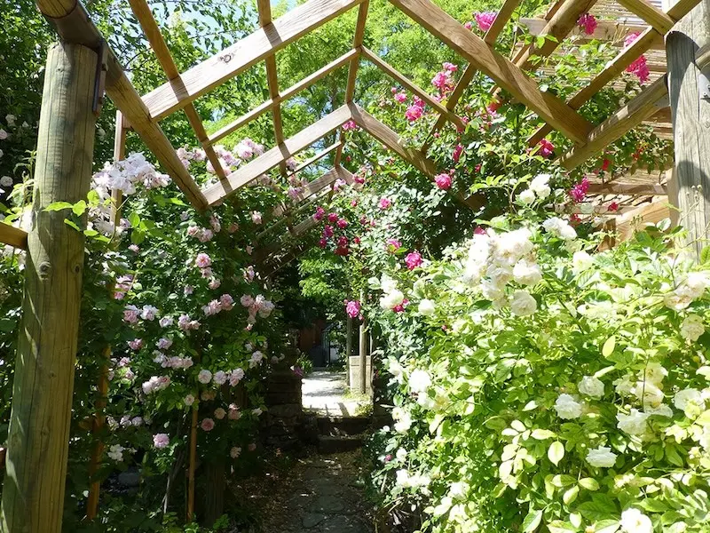 Roseraie de l'Abbaye de Valsaintes