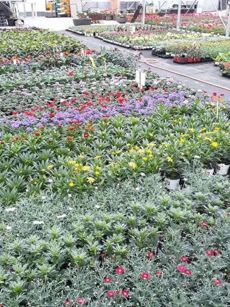 Production EURL des 4 saisons