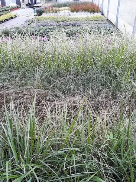 Production EURL des 4 saisons