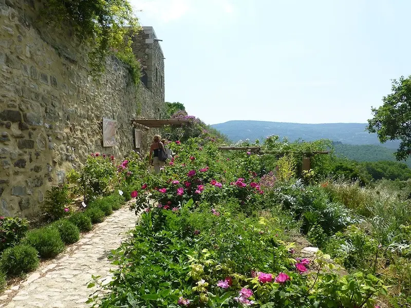 Voie des Roses &agrave; l'Abbaye de Valsaintes