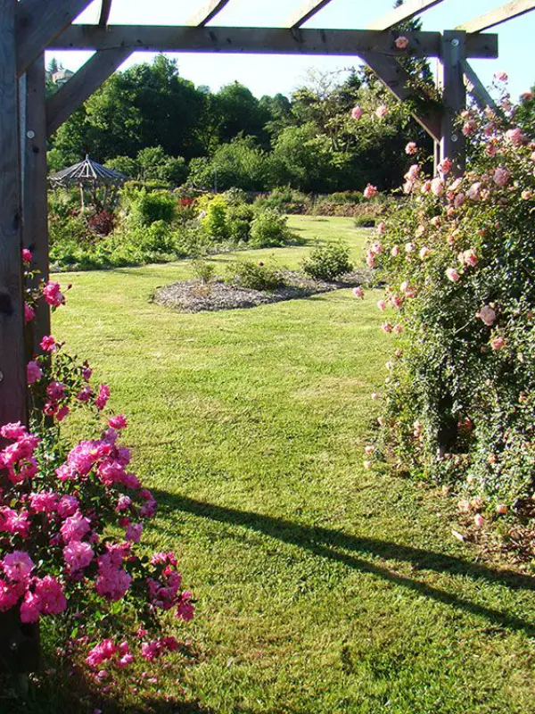 Les roses anciennes du Jardin de Talos