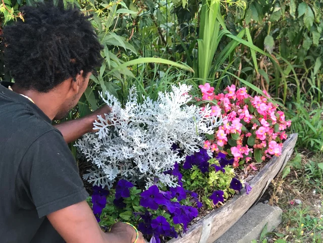 Le cojardinage de Claudine et David