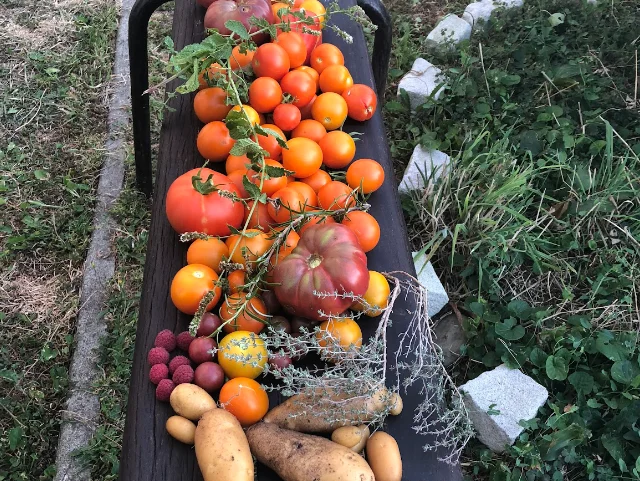 Le cojardinage de Claudine et David