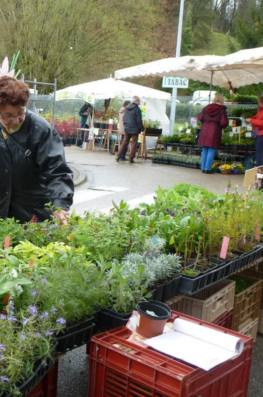 Fête des Plantes et Graines Rares de Réaumont